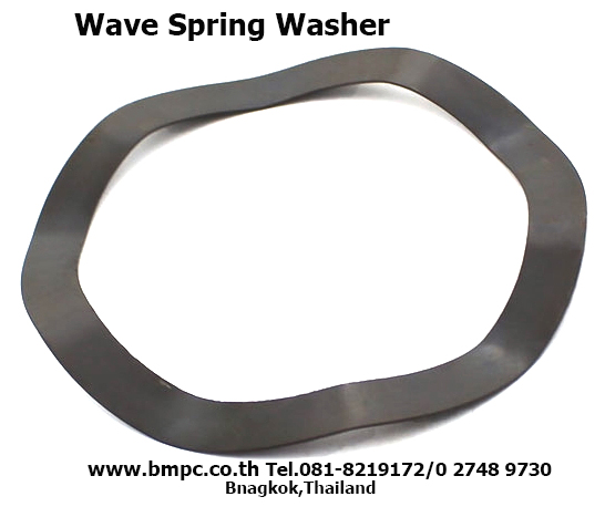 Schnorr, Disc spring, แหวนสปริงจาน, Wedge lock washer, แหวนล๊อกคู่กันคลาย, Wave washer, แหวนกะทะ, Serrated Safety Washers